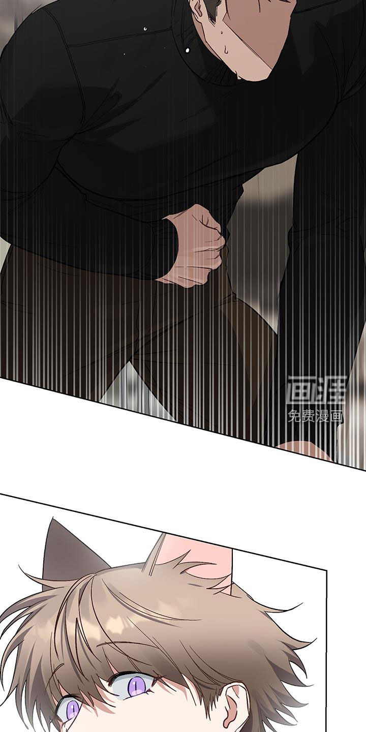 第14话：第14章：【番外】真是笨蛋预览分镜