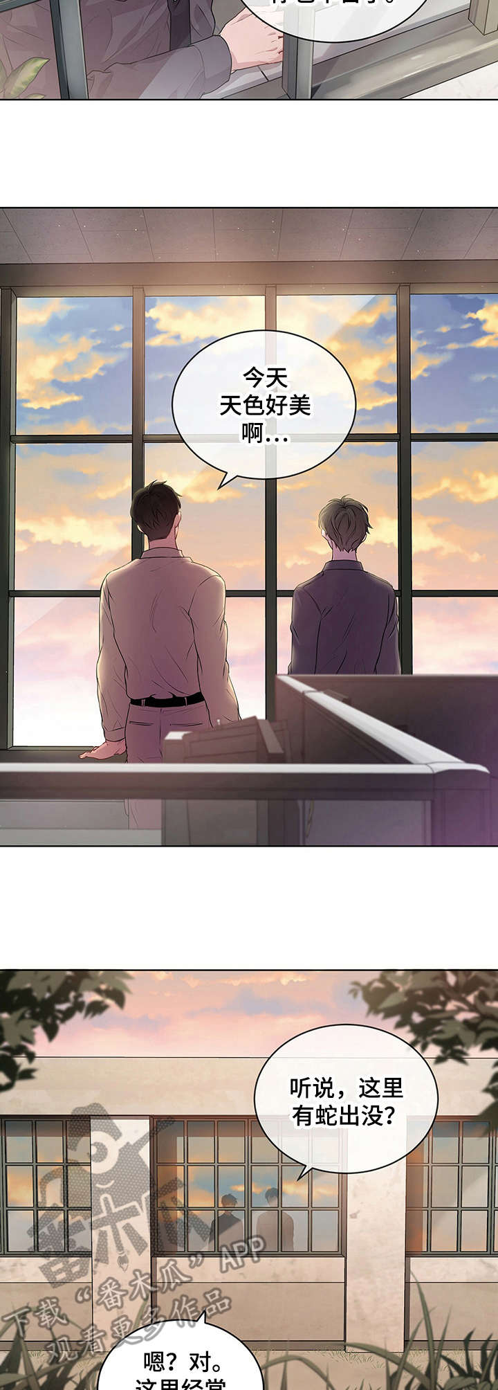 第15话：第15章：畅快预览分镜