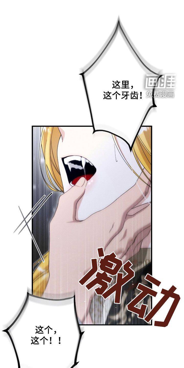 第116章:下落