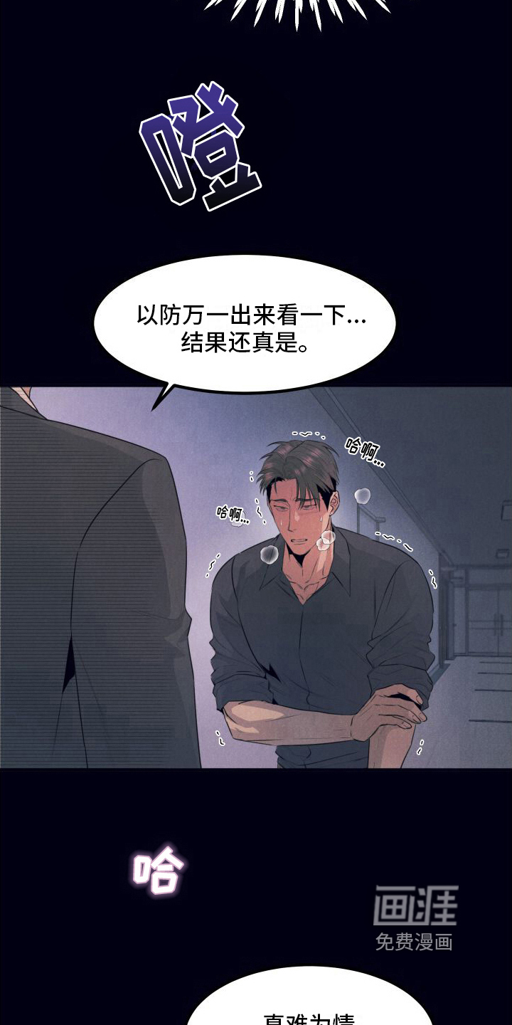 第11话：第11章：绝配【完结】预览分镜