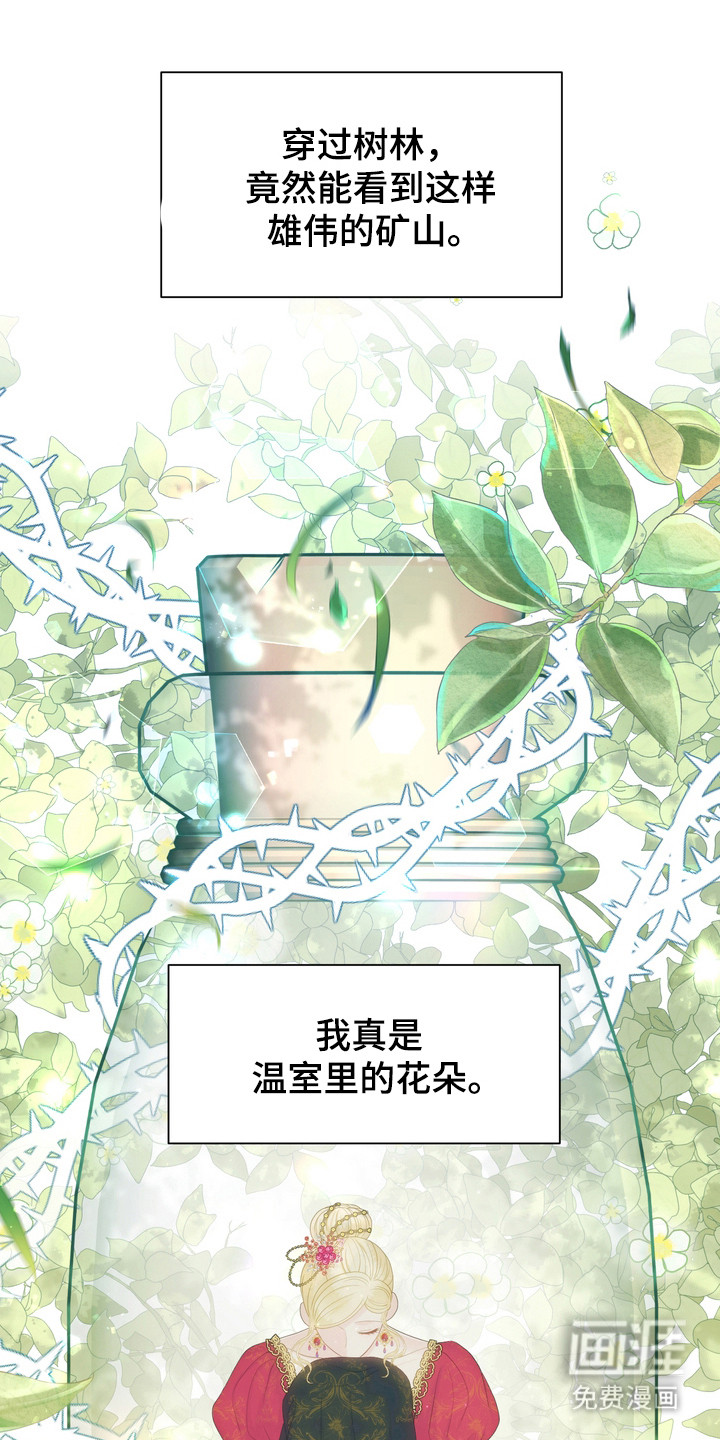 第91章:温室花朵