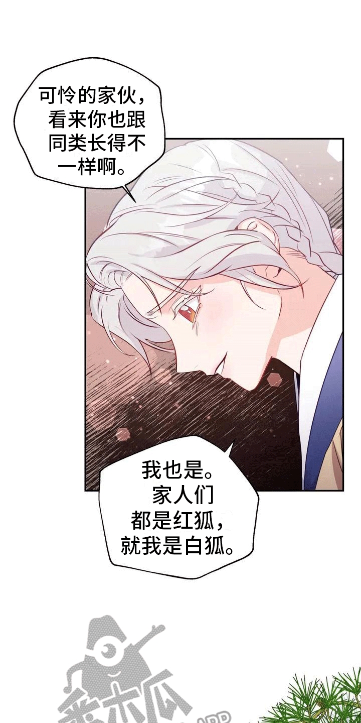 第4话：老虎预览分镜