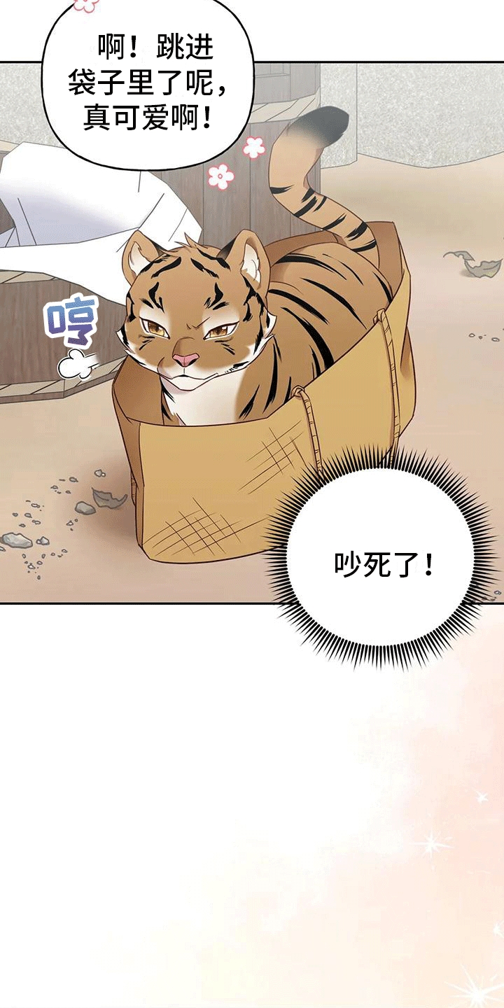 第5话：出门预览分镜