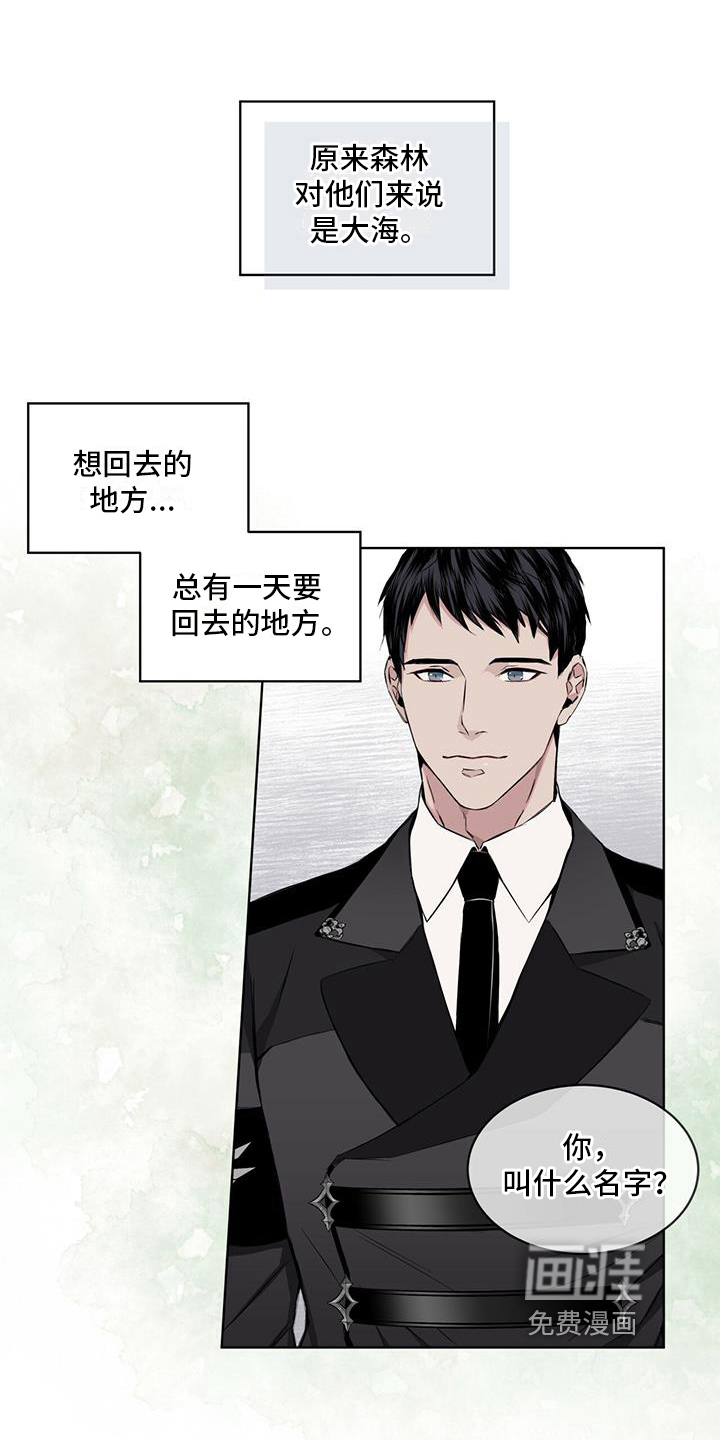 第14话：第14章：受伤预览分镜
