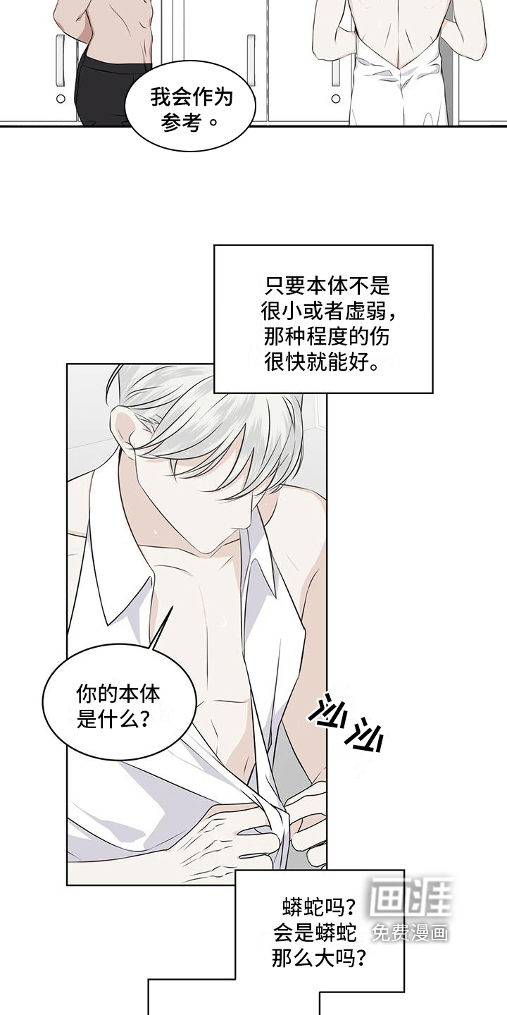 第15话：第15章：都知道预览分镜