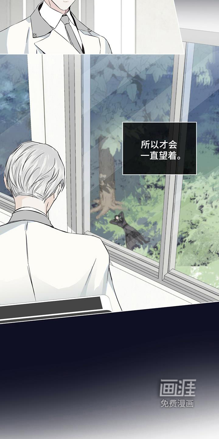 第17话：第17章：划清界限预览分镜