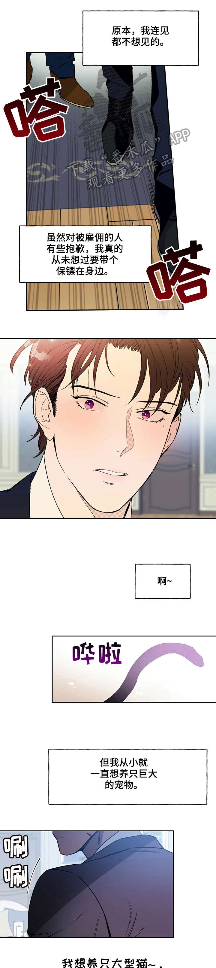 第11话：第11章：宠物预览分镜