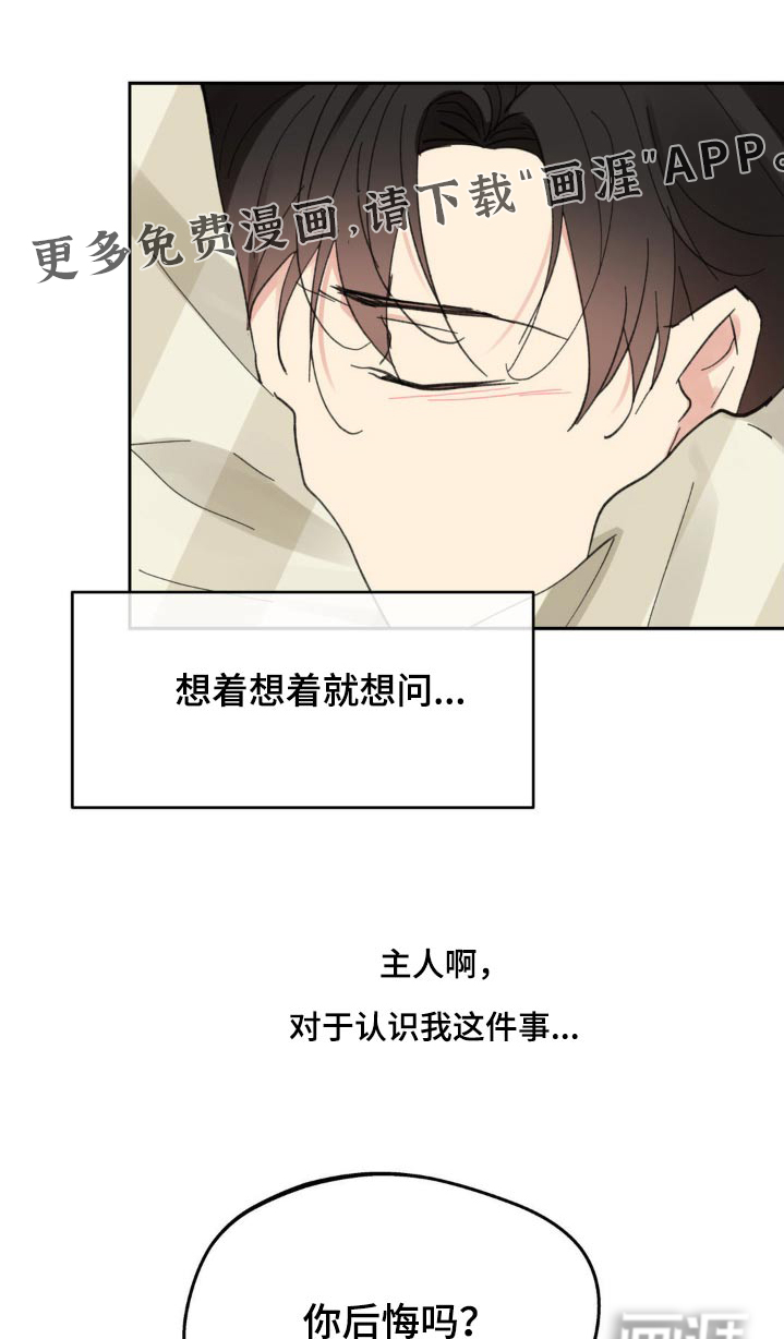 第213章:【番外】我不后悔