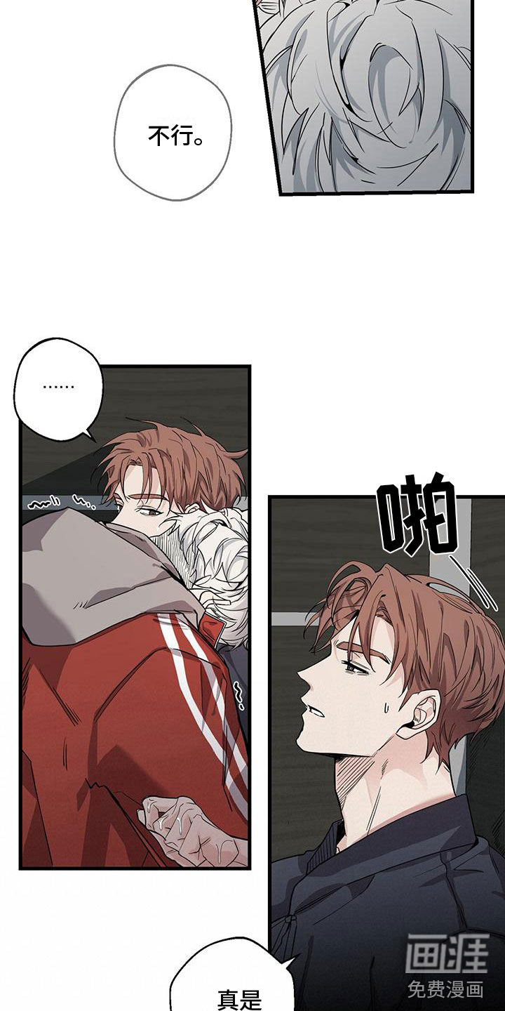 第6话：第6章：太棒了预览分镜
