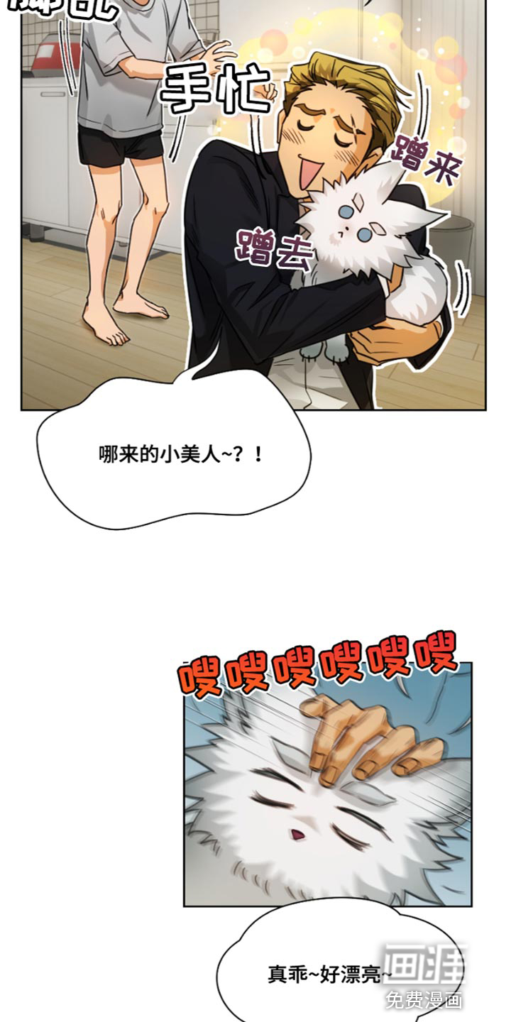 第17话：第17章：真是无礼预览分镜