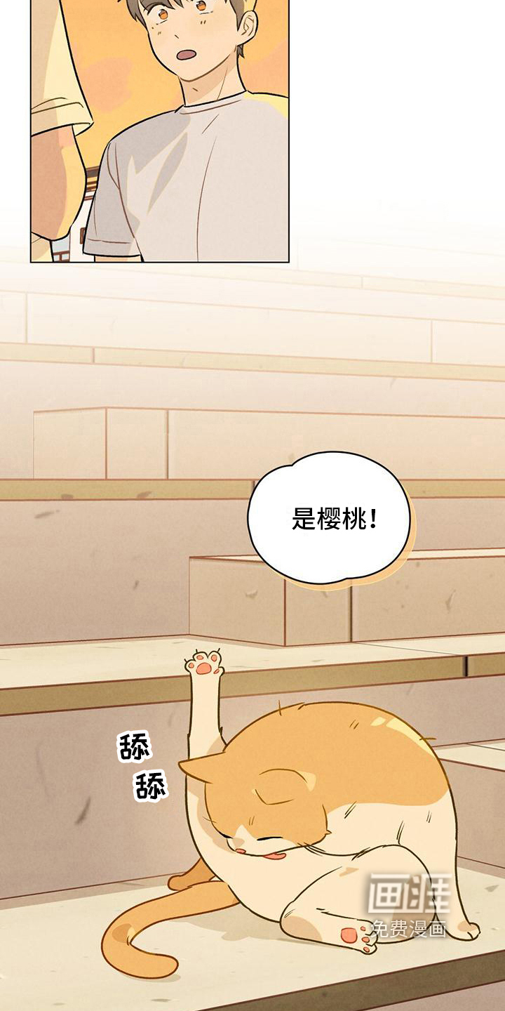 第15话：第15章：名字预览分镜
