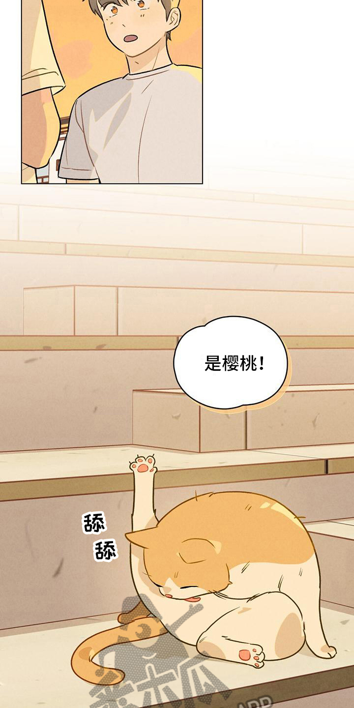 第15话：名字预览分镜