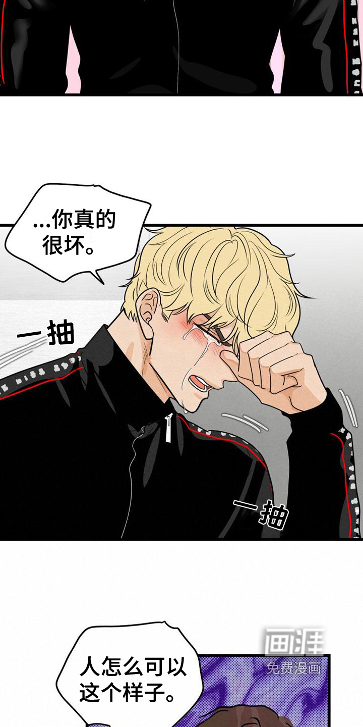 第17话：第17章：带回家预览分镜