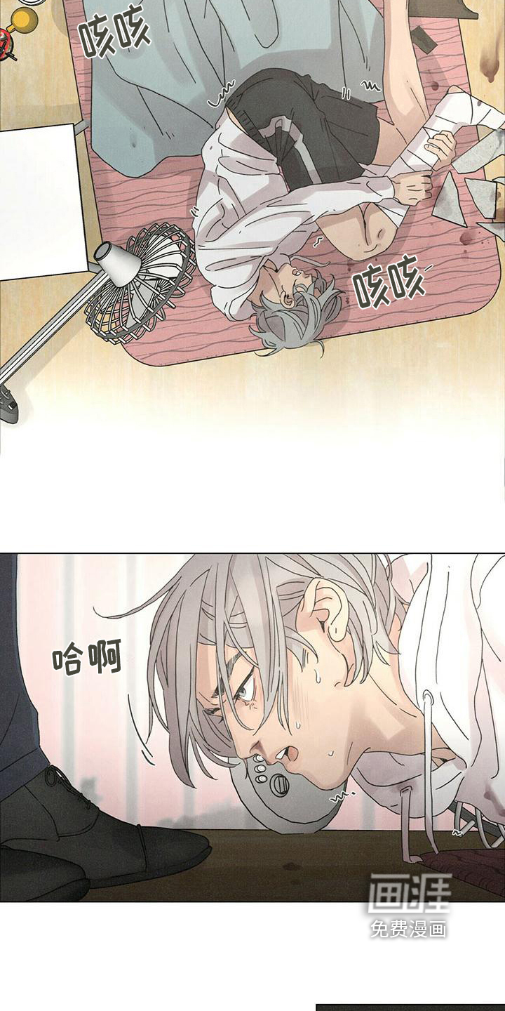 第9话：第9章：生活预览分镜