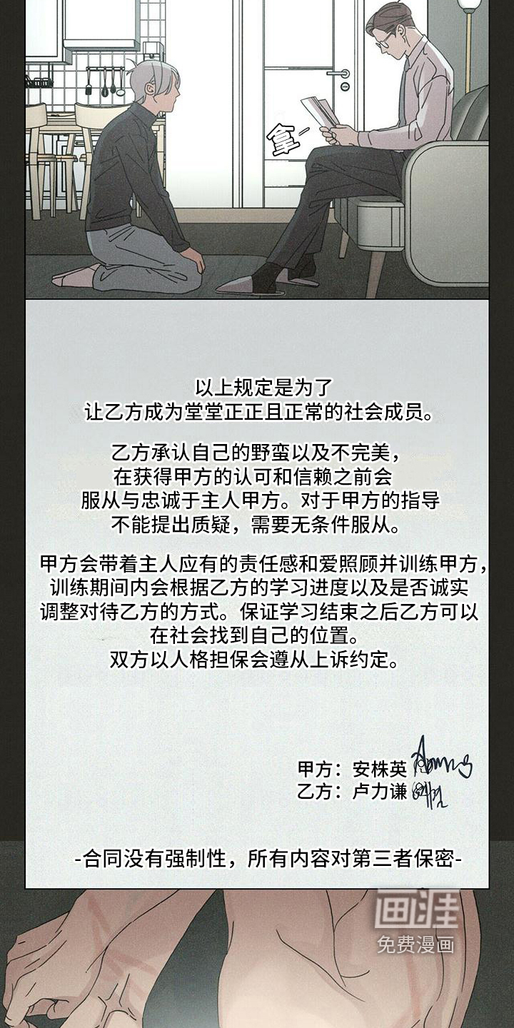 第14话：第14章：慌张预览分镜