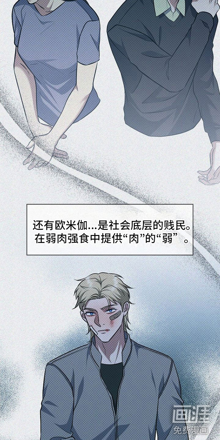 第5话：第5章：替代品预览分镜
