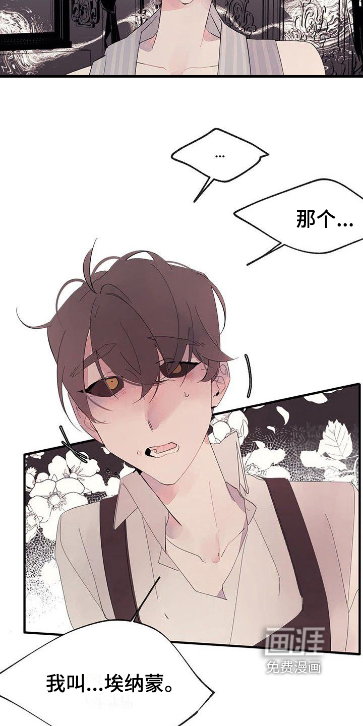 第13话：第13章：安排预览分镜