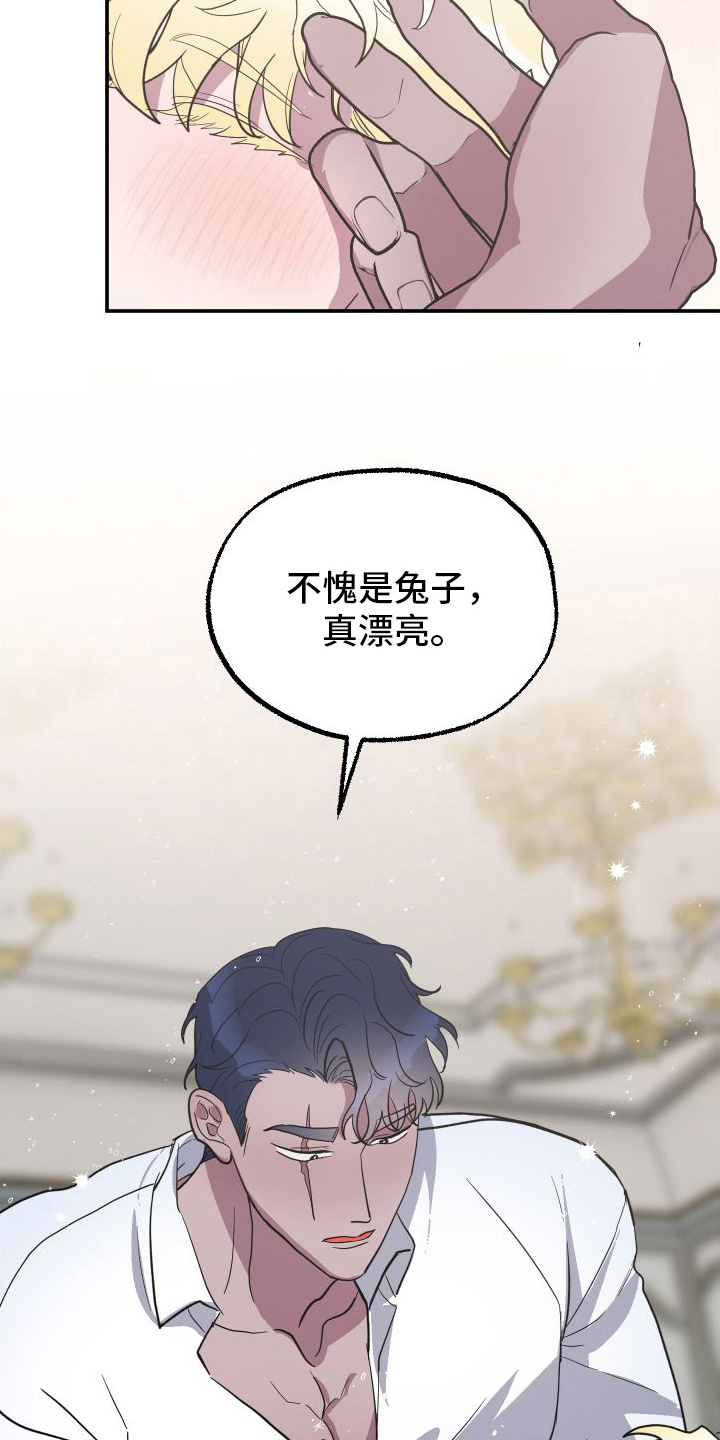 第3话：第3章：品种预览分镜
