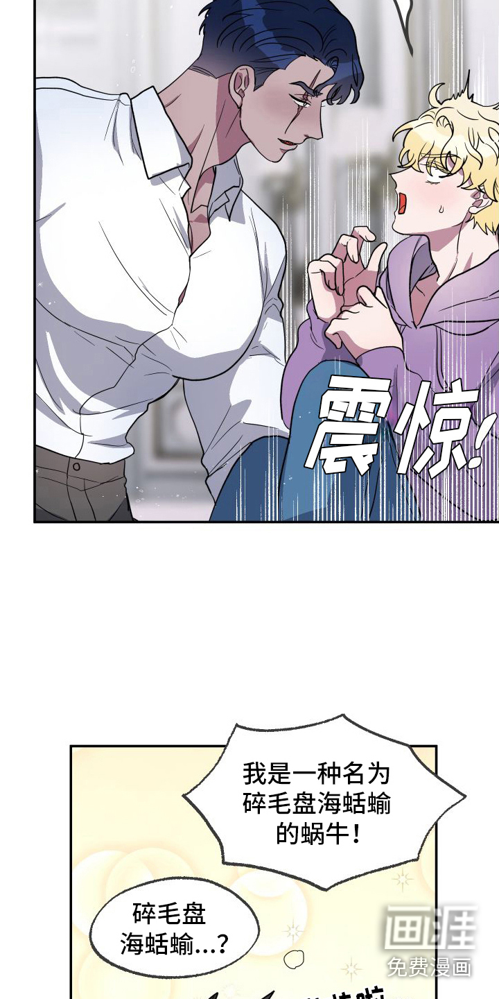 第4话：第4章：雌雄同体预览分镜