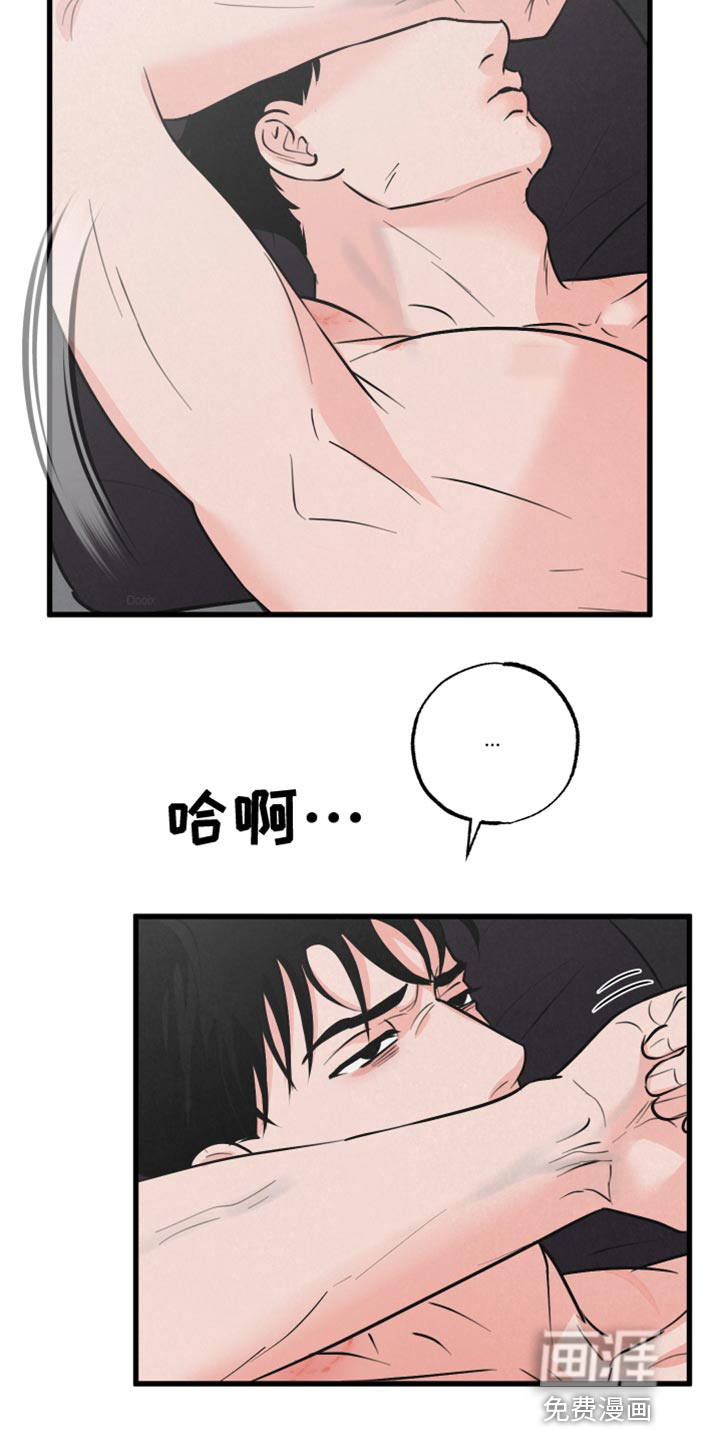 第11话：第11章：小狗预览分镜