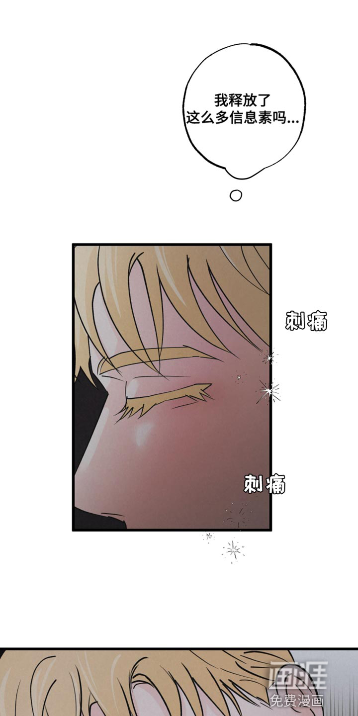第13话：第13章：吃惊预览分镜