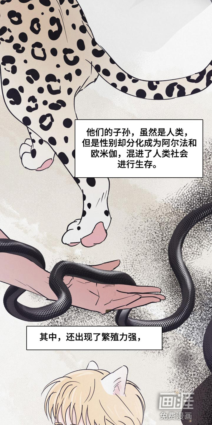 第14话：第14章：动物形状预览分镜