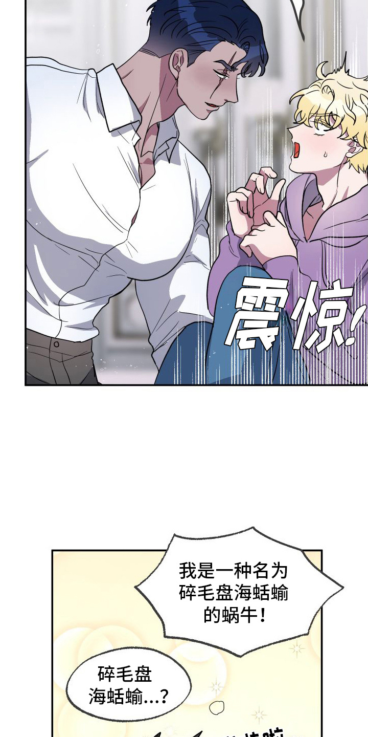 第4话：雌雄同体预览分镜