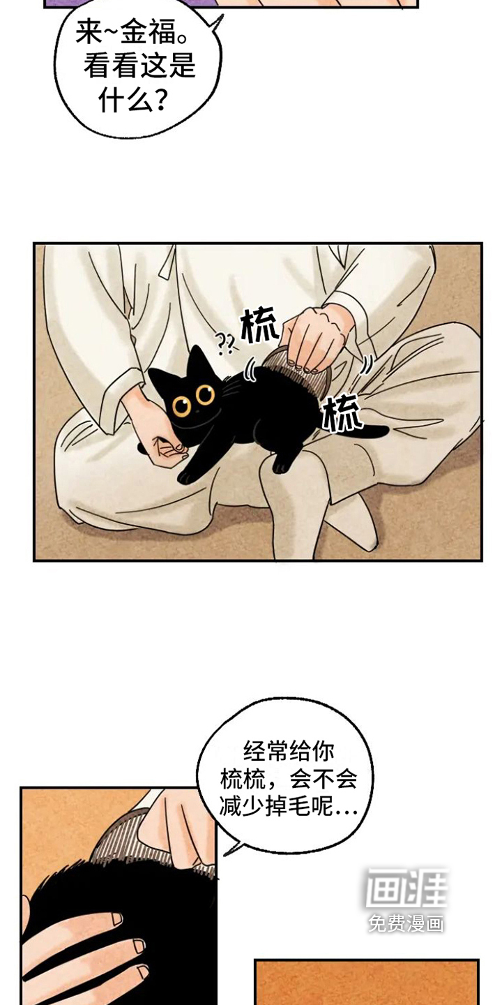 第15话：第15章：脏猫预览分镜