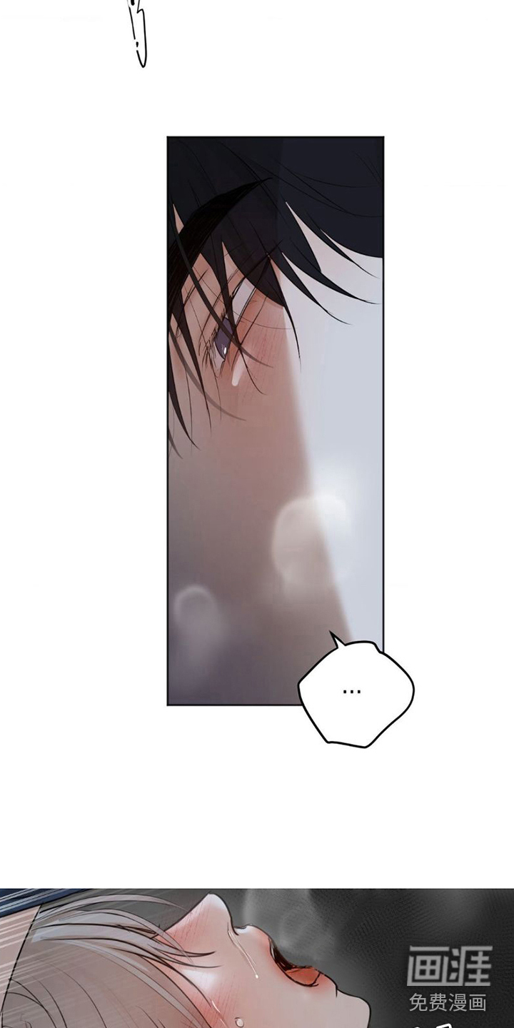 第14话：第14章：可爱的谎言预览分镜