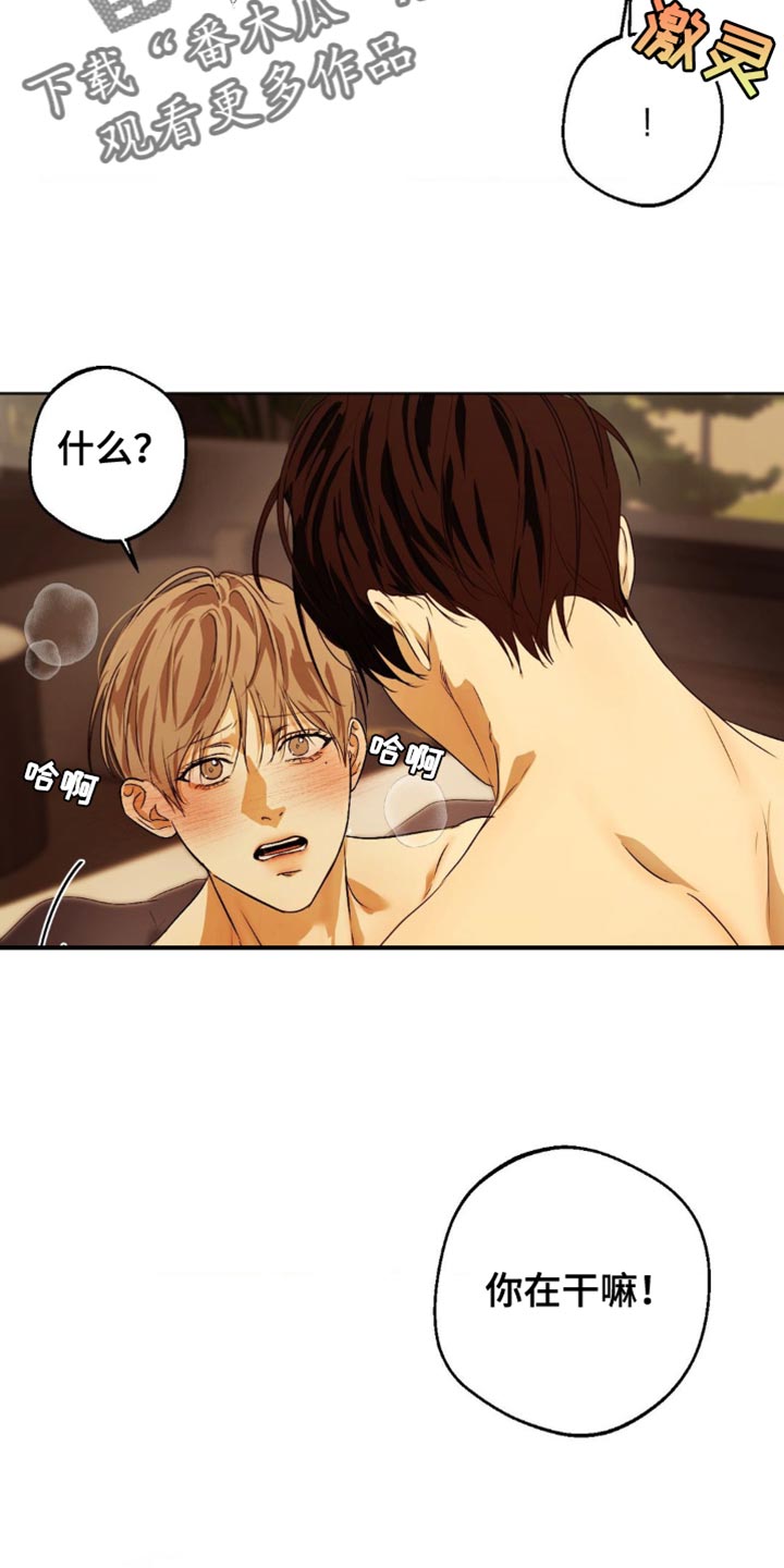 第74章:【第二季完结】那是不行的