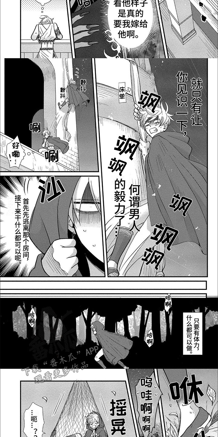 第6话：逃跑预览分镜