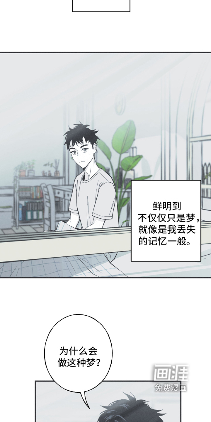 第10话：第10章：理由预览分镜