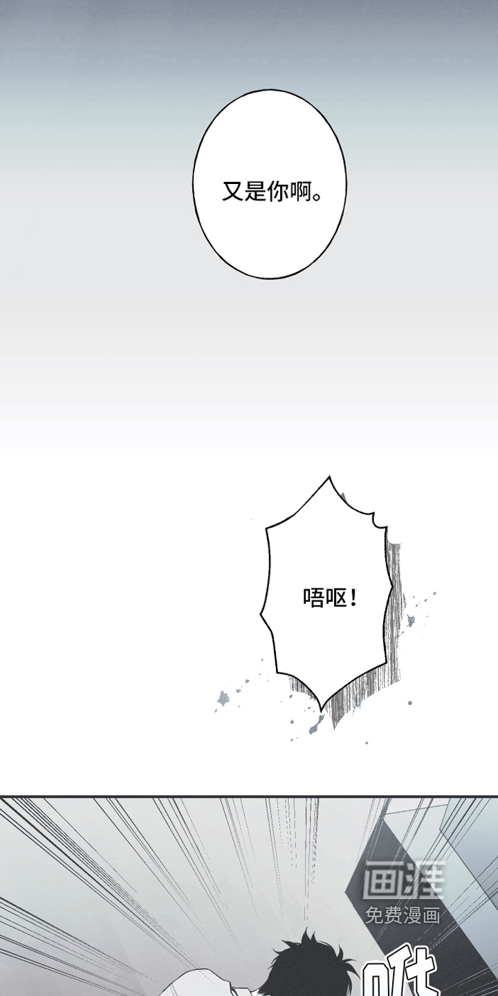 第12话：第12章：躁动预览分镜