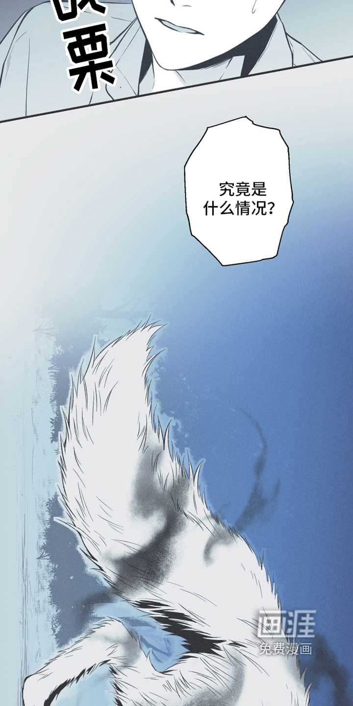 第14话：第14章：逃跑预览分镜