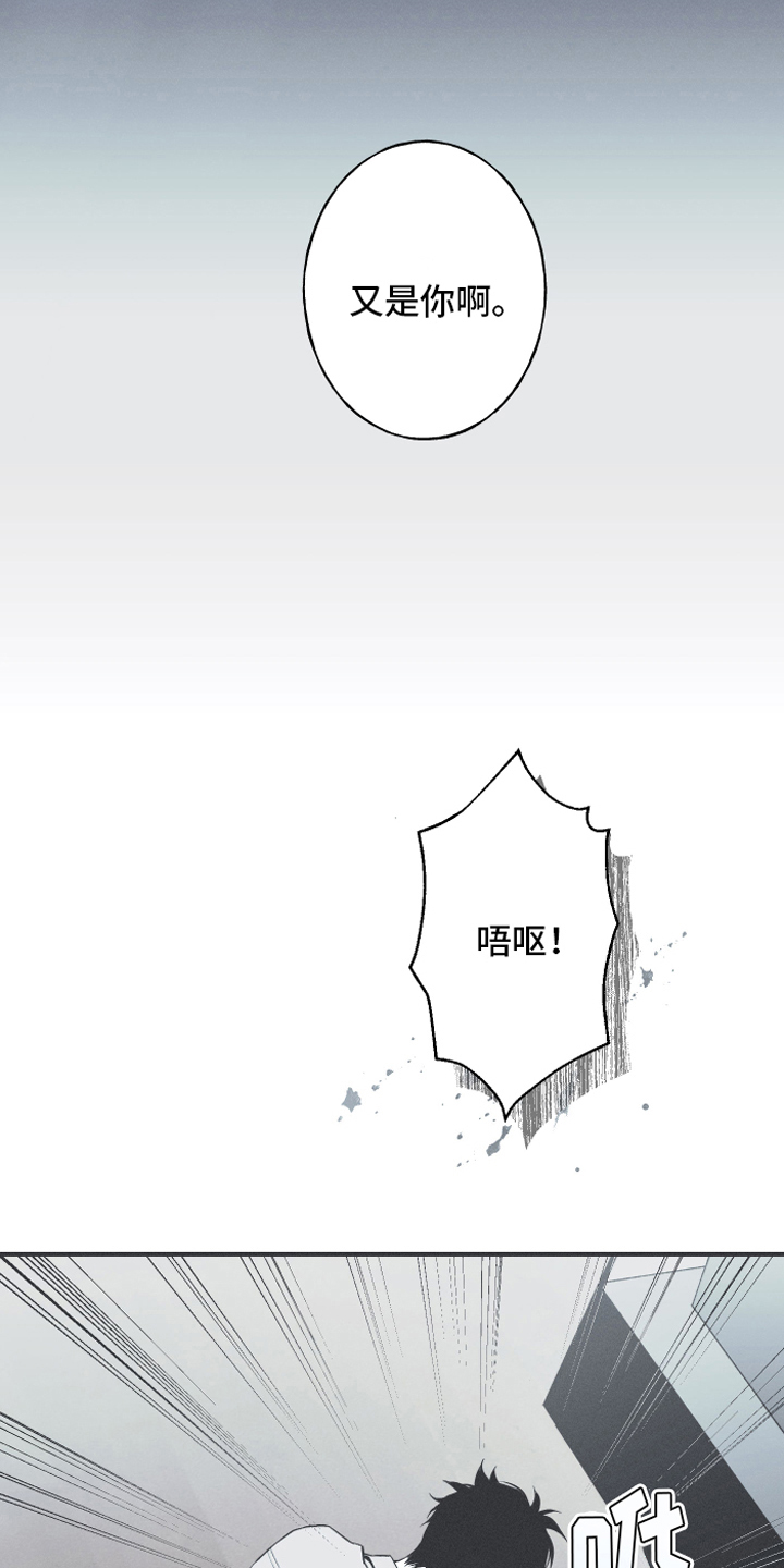 第12话：躁动预览分镜