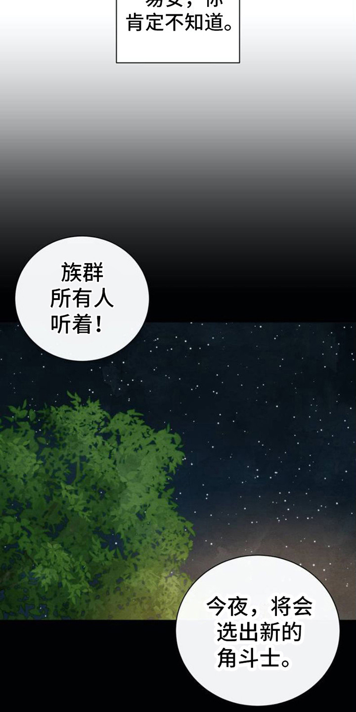 第3话：全忘了预览分镜