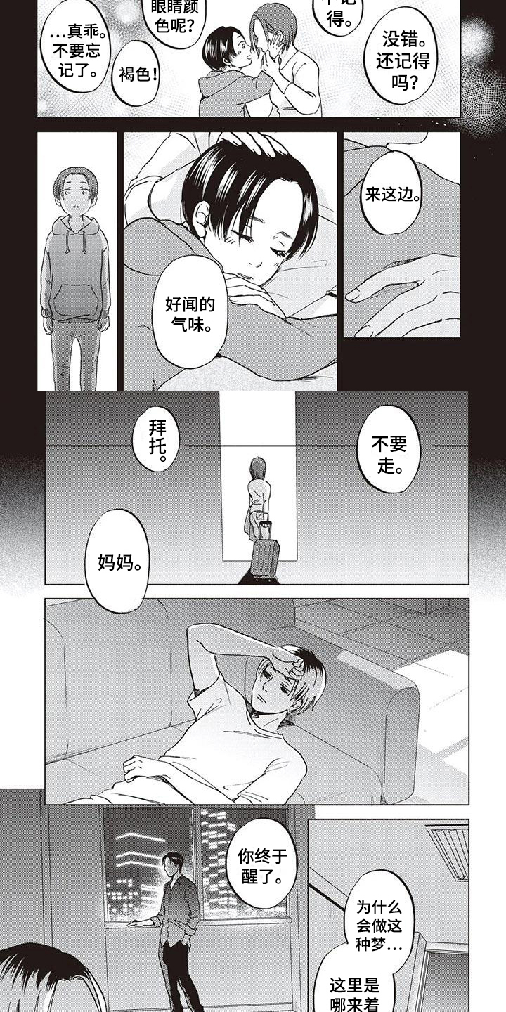 第3话：记忆方式预览分镜