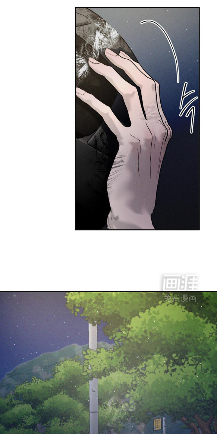 第152章:【番外】珍贵的回忆