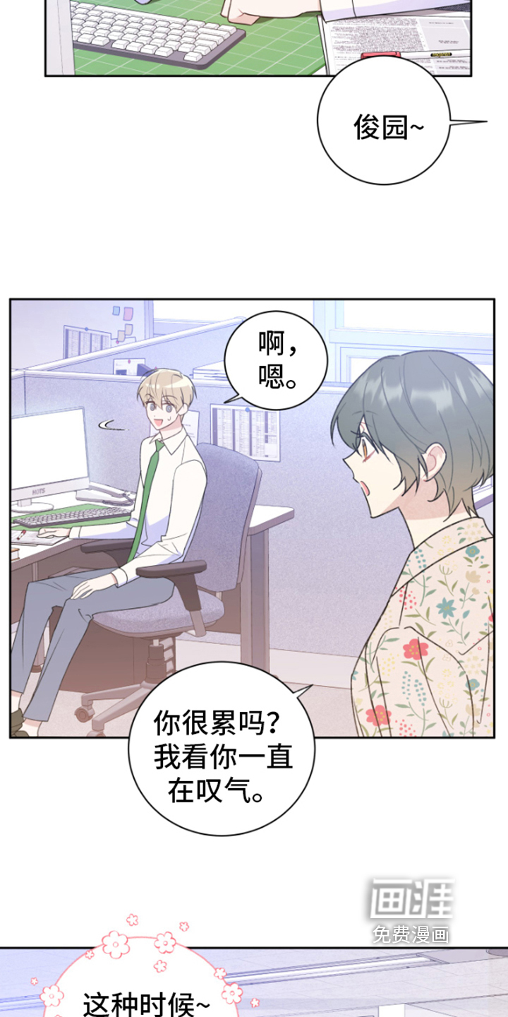 第4话：第4章：分析预览分镜