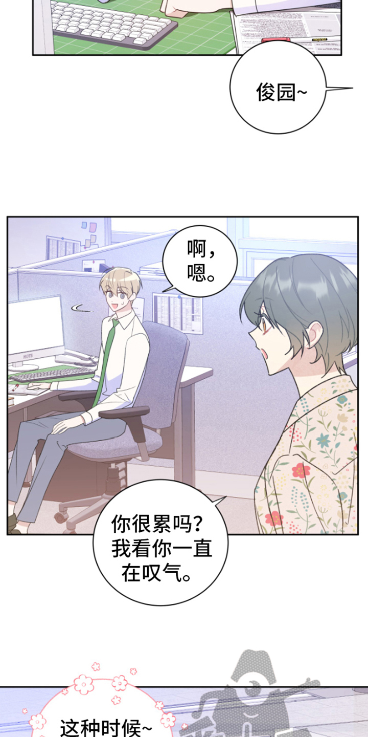 第4话：分析预览分镜