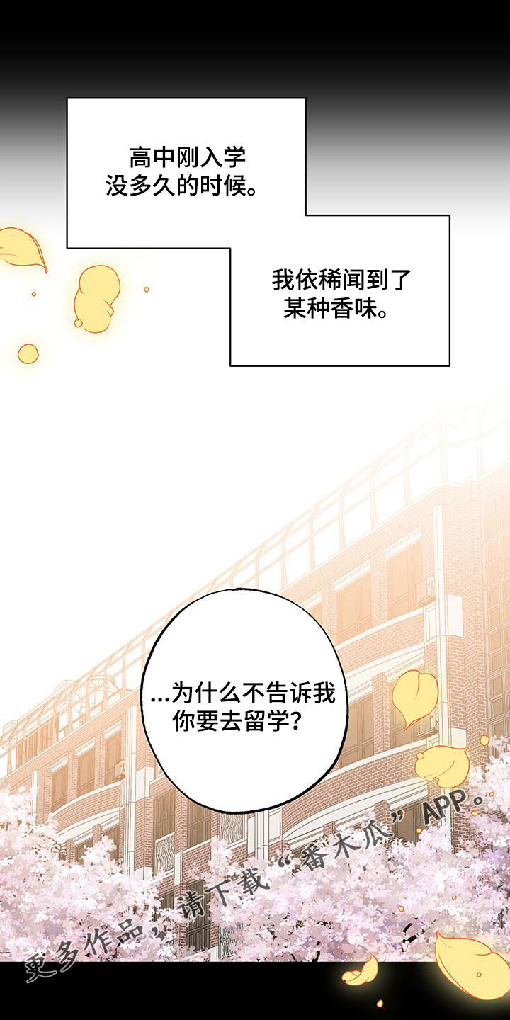 第50章:永远不会变