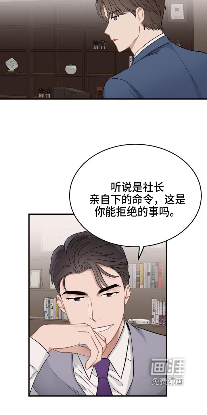 第15话：第15章：提议预览分镜