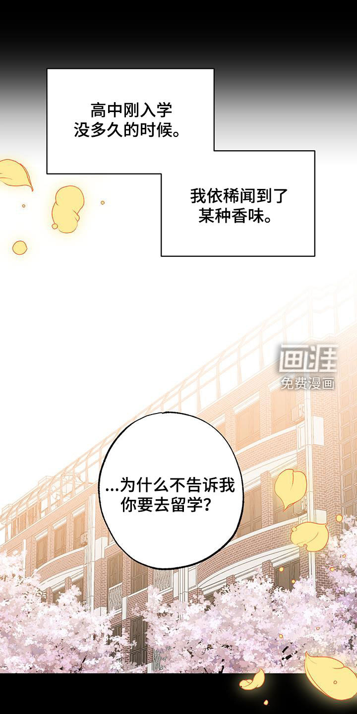 第45章:永远不会变