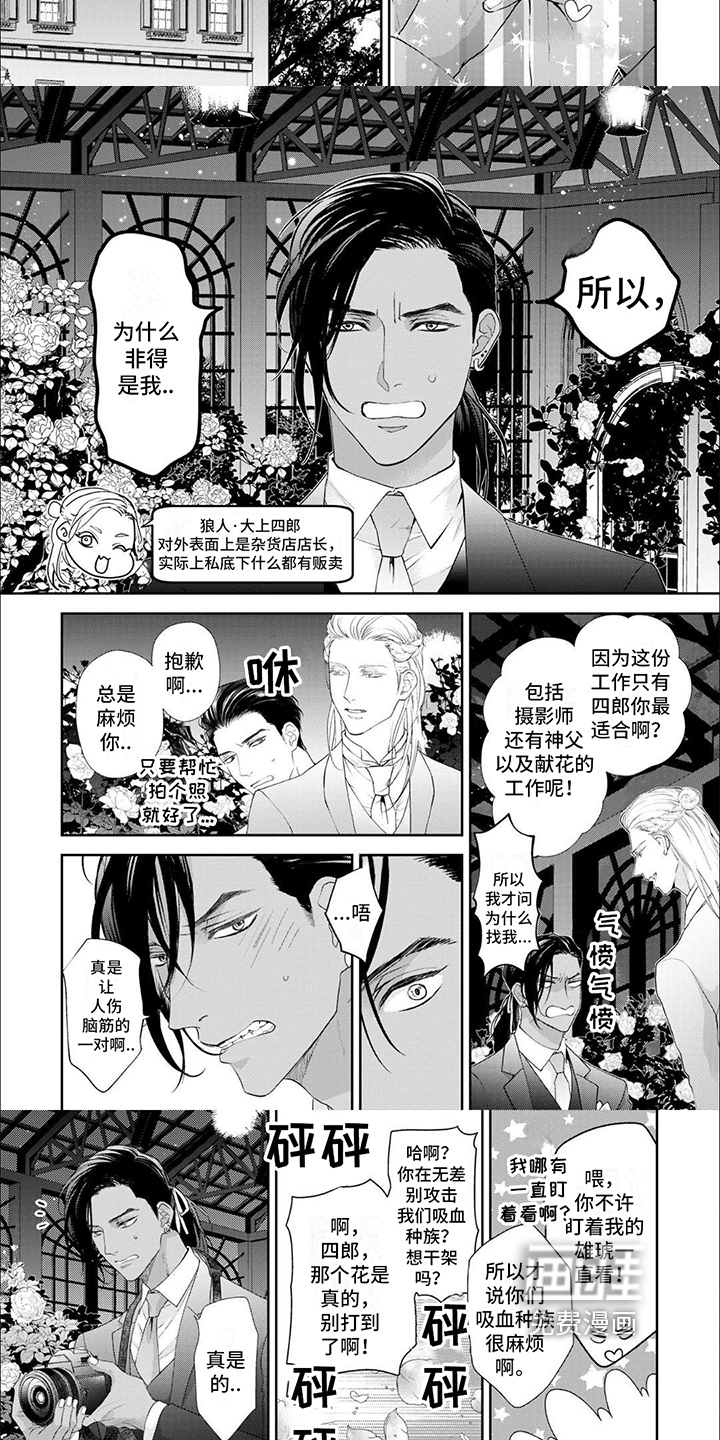 第14话：第14章：【番外】结婚预览分镜