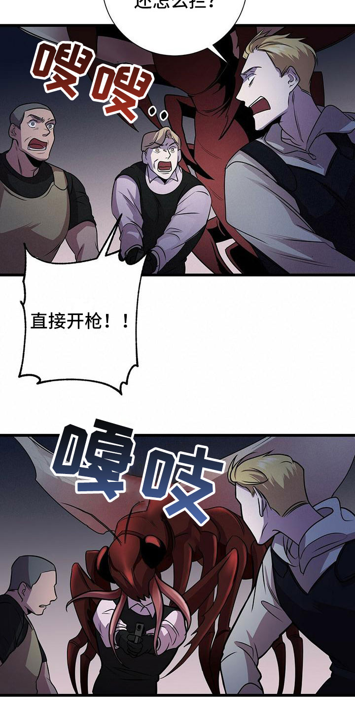 第5话：曦光预览分镜