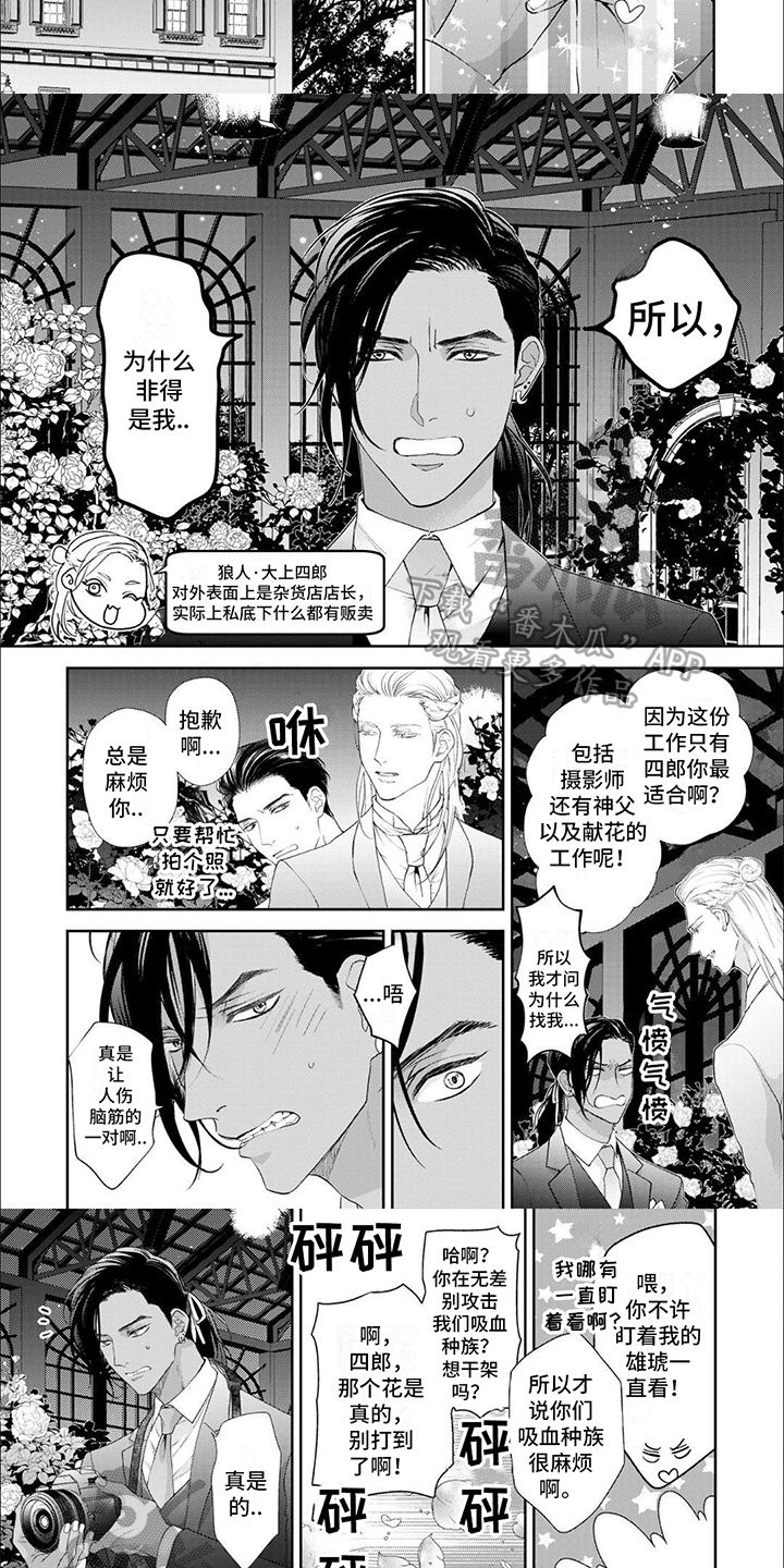 第15话：【番外】结婚预览分镜