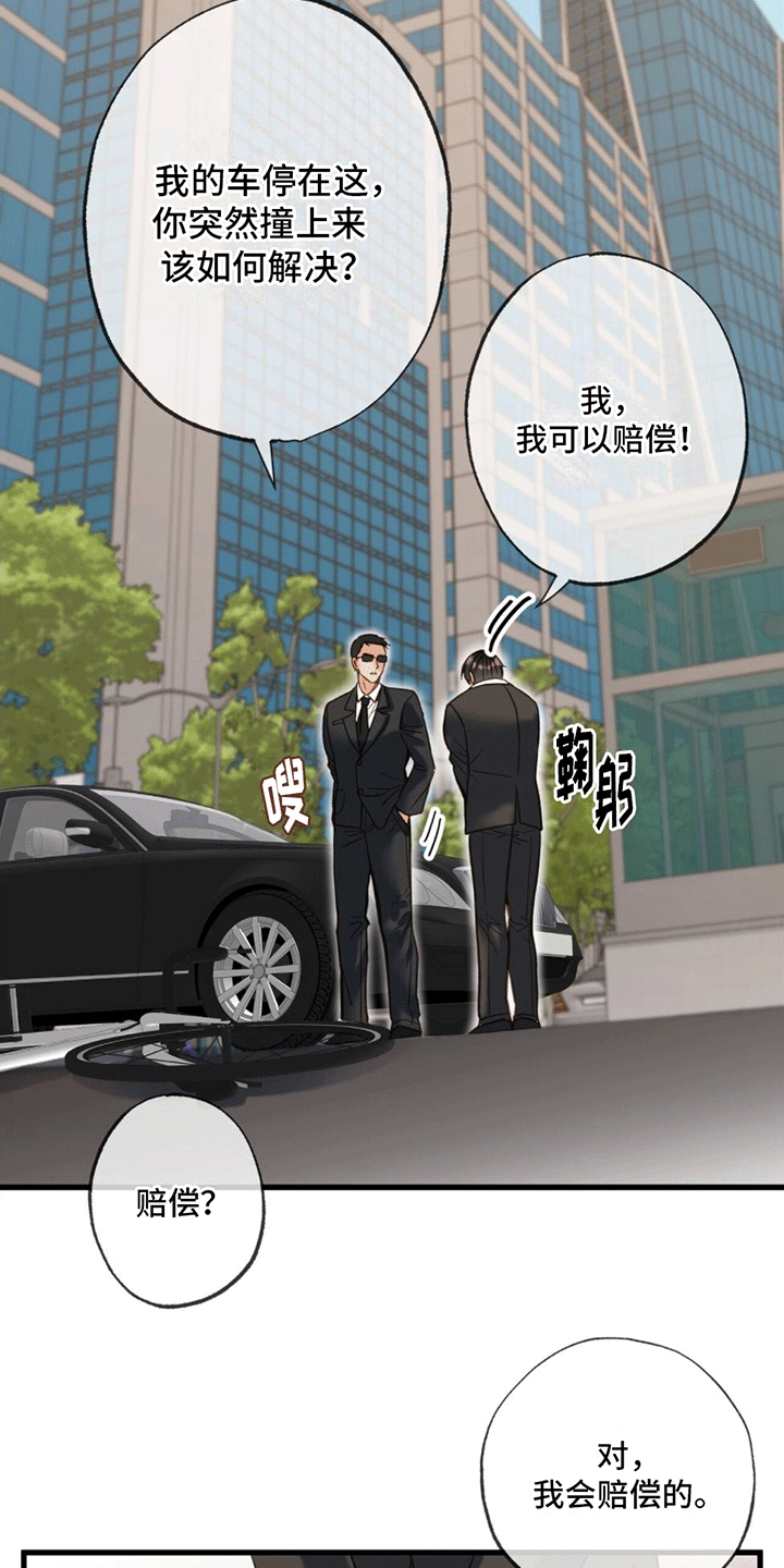 第2话：赔偿预览分镜