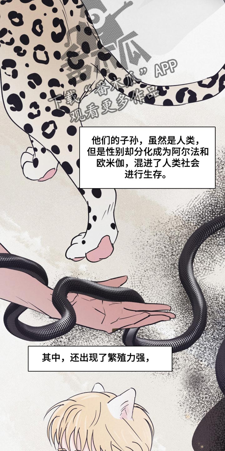 第15话：动物形状预览分镜