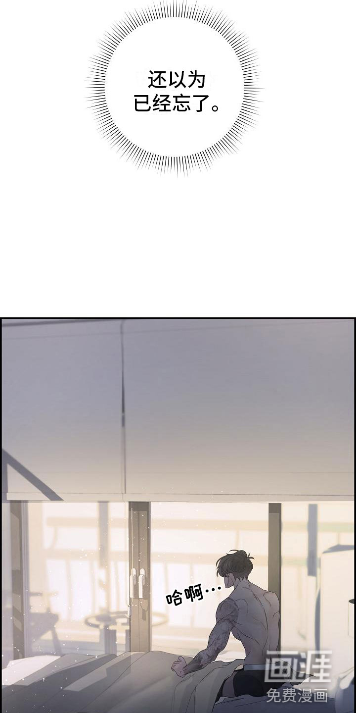 第15话：第15章：打赌预览分镜