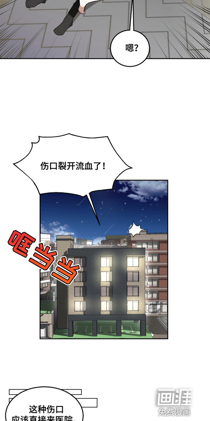 第11话：第11章：接受教育的野生动物预览分镜